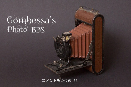 FC2BBS